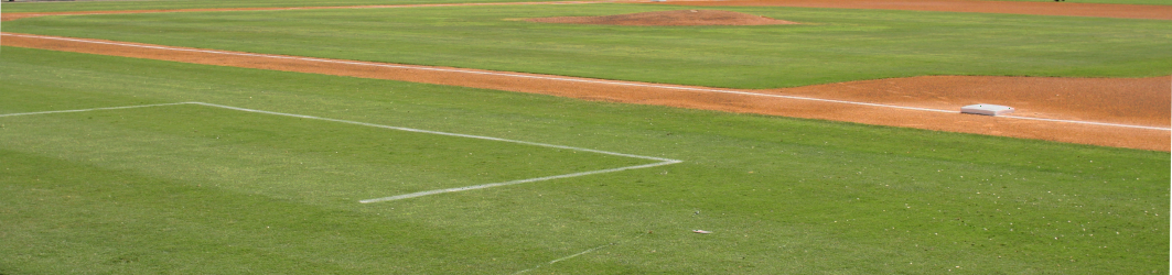 detail of baseball field